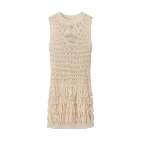 Crewneck Knit Fringe Trim Mini Dress
