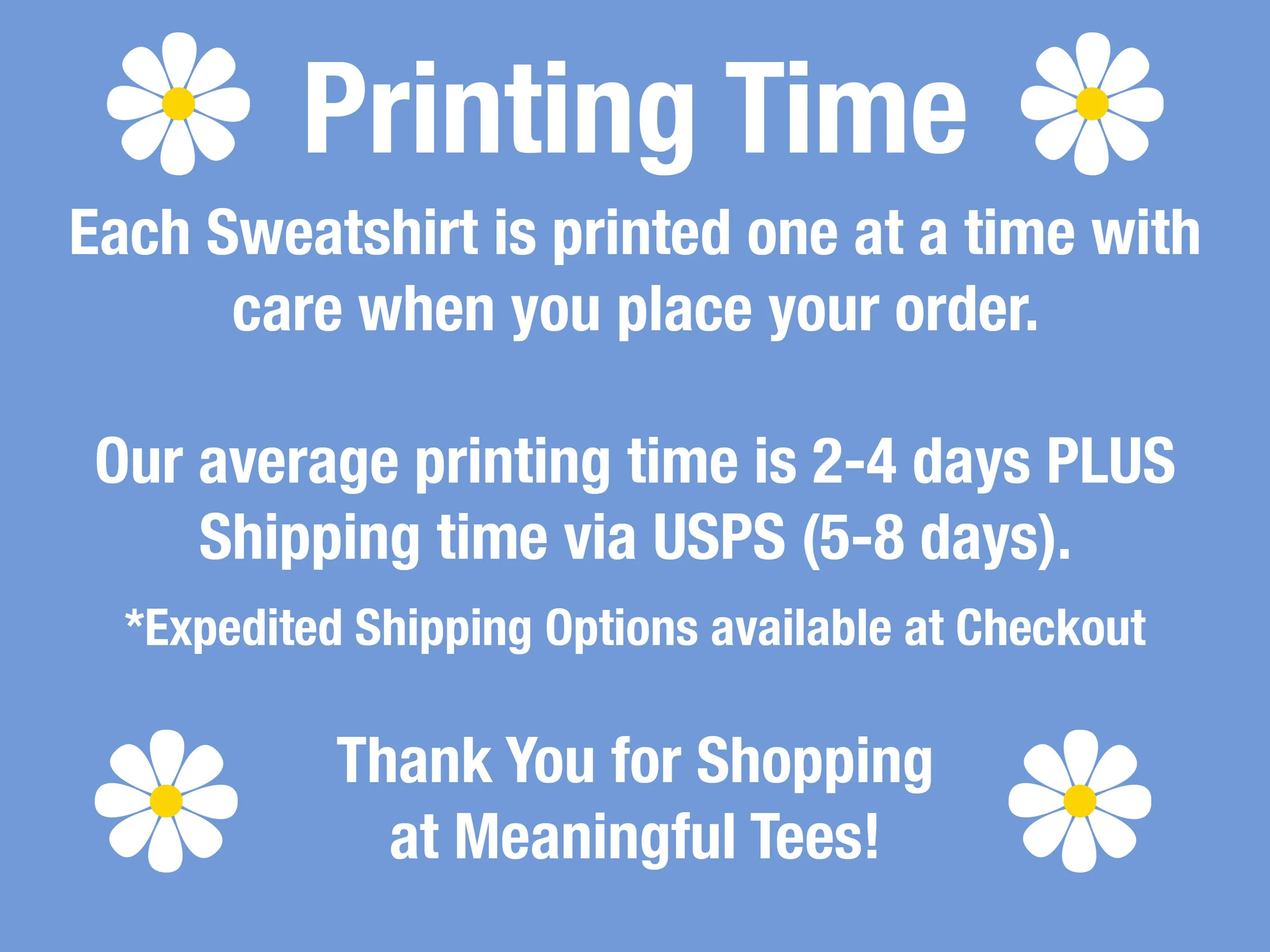 Forever Chasing Sunsets Hoodie - DOUBLE SIDED - New!