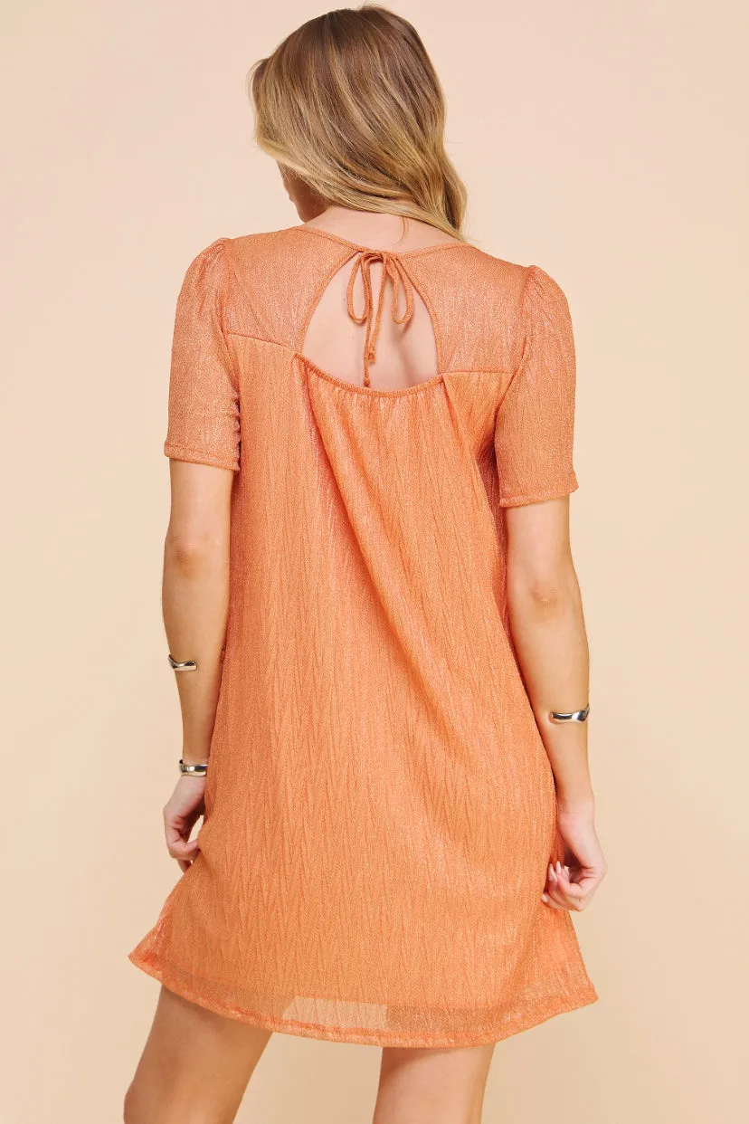 Pleated Knit Ombré Dress