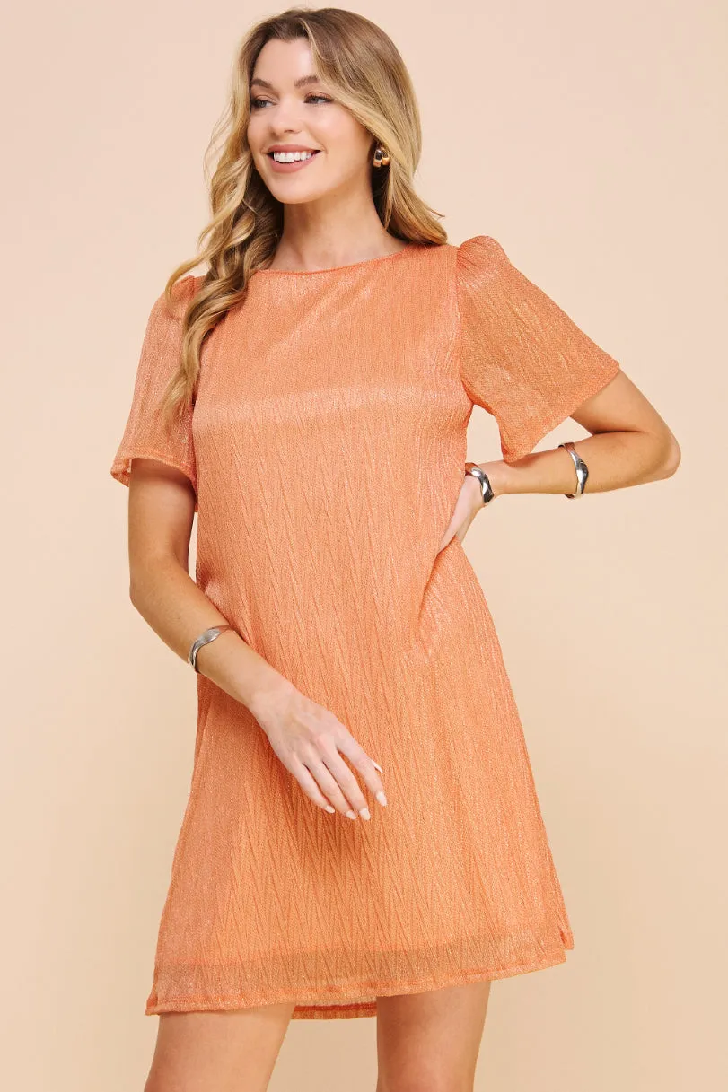 Pleated Knit Ombré Dress