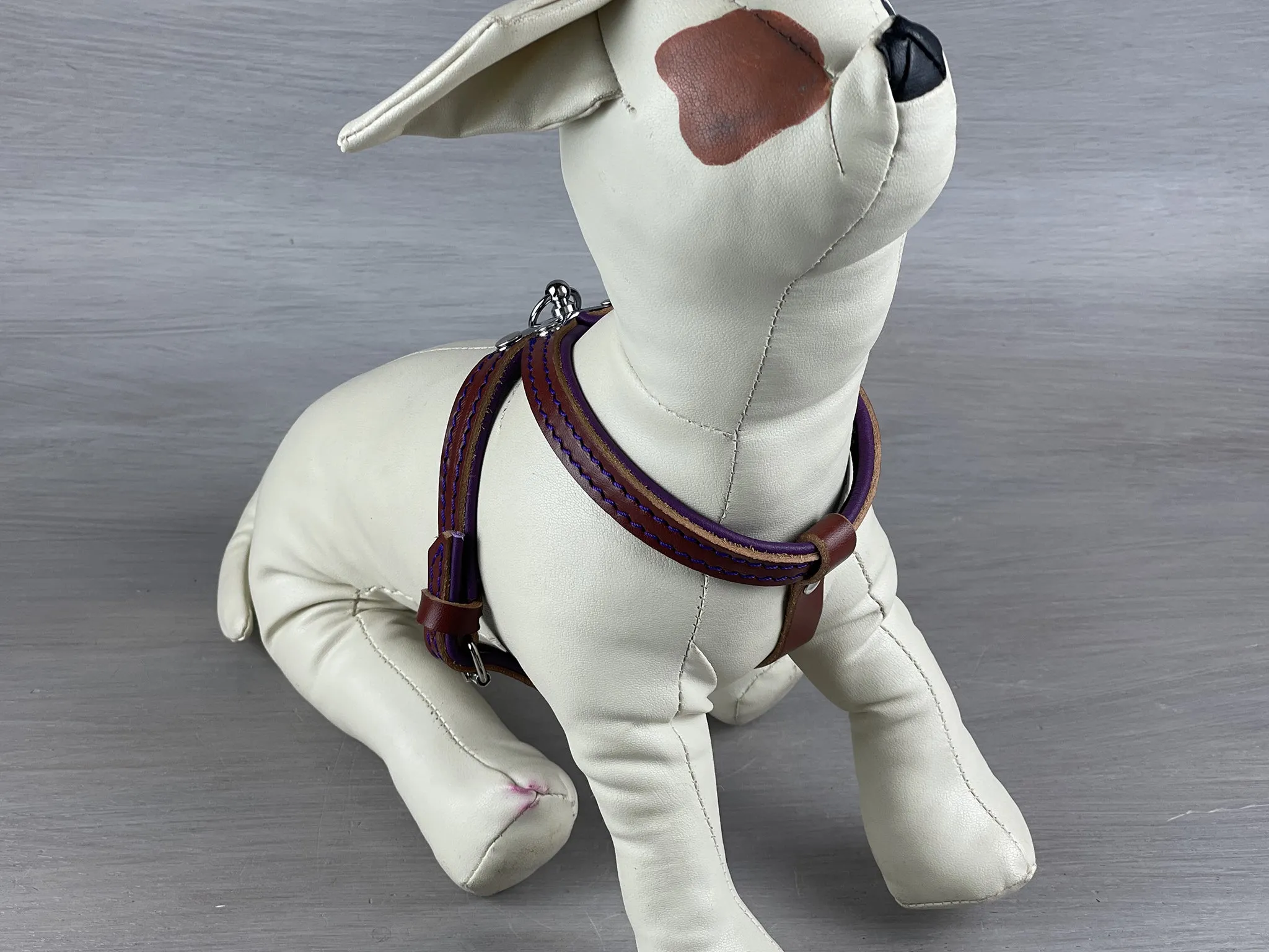 Slip On Harness for Small and Toy Dogs