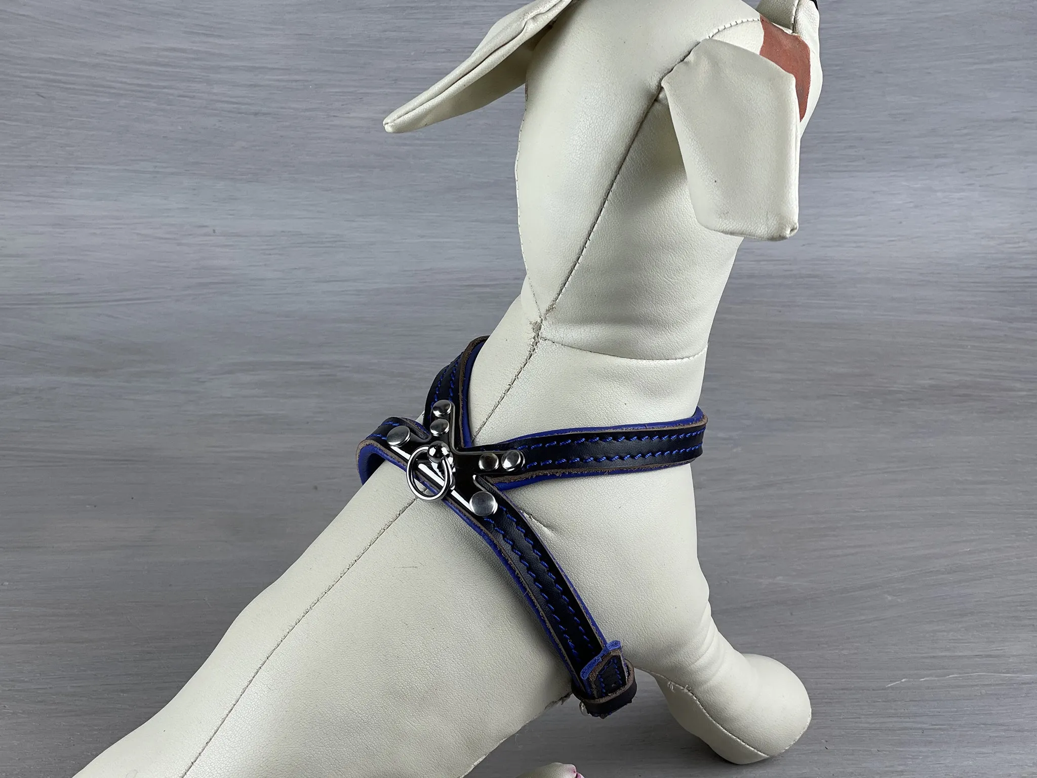 Slip On Harness for Small and Toy Dogs