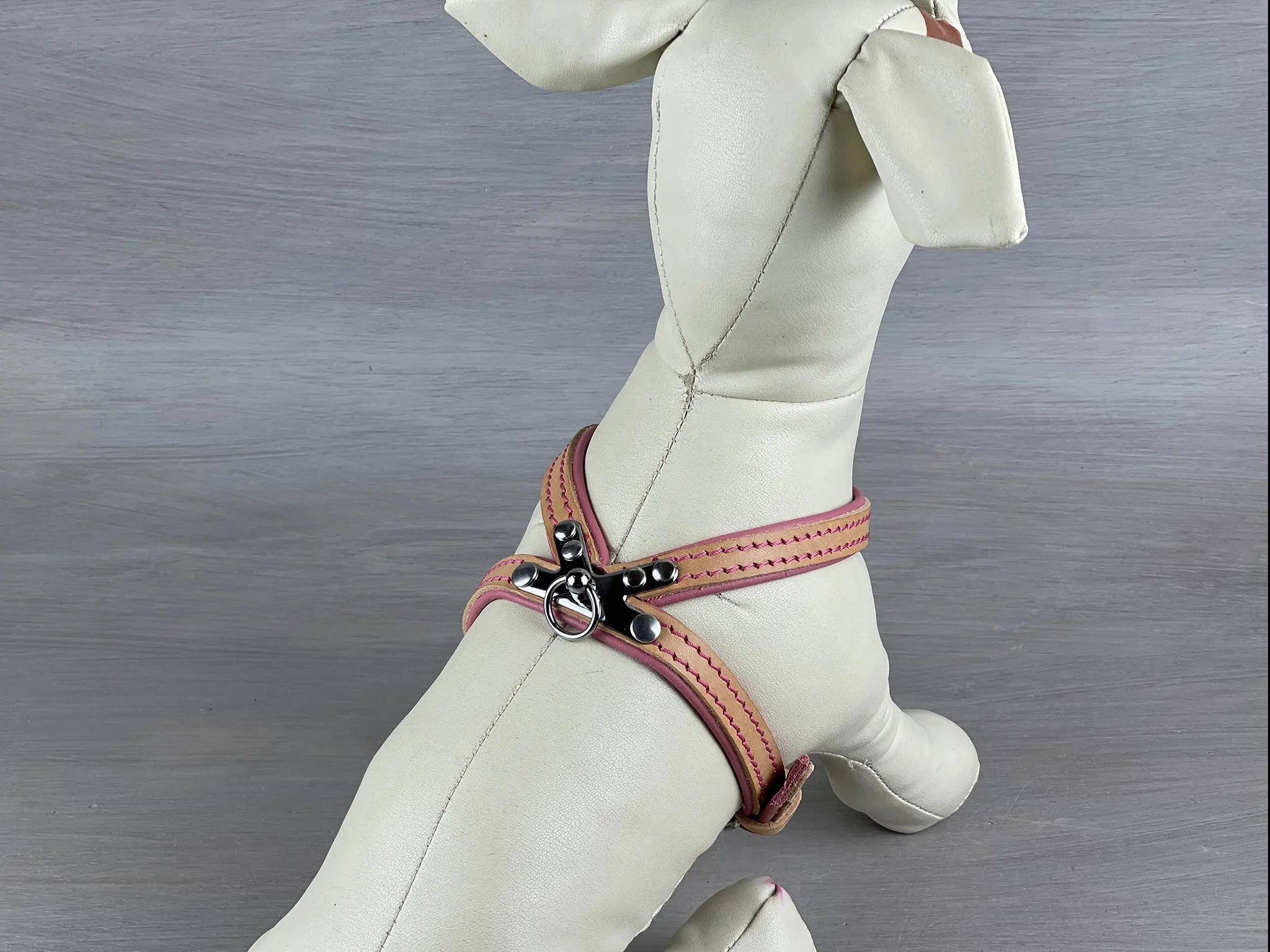 Slip On Harness for Small and Toy Dogs